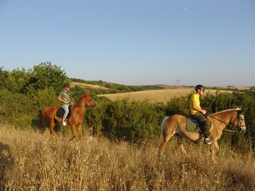 Agriturismo Eco-Bio Belmonte Vacanze Montaione Buitenkant foto